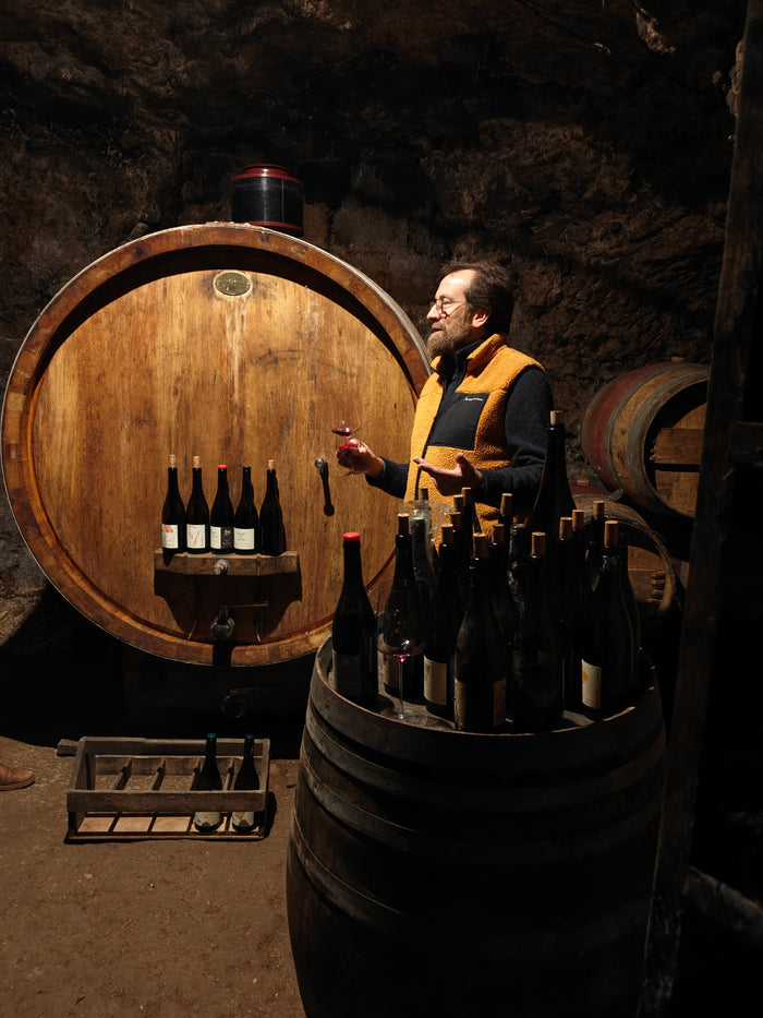 Domaine des Roches Neuves