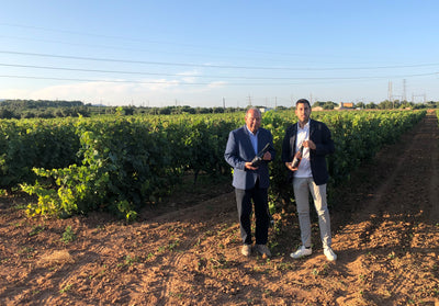 Celler Jan Vidal