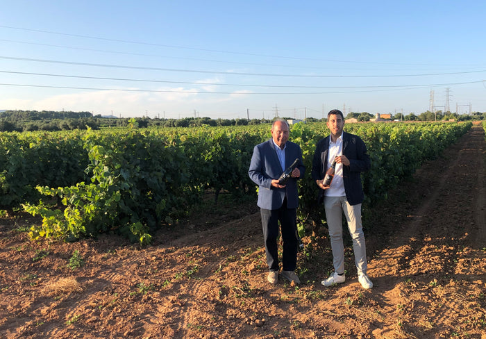 Celler Jan Vidal