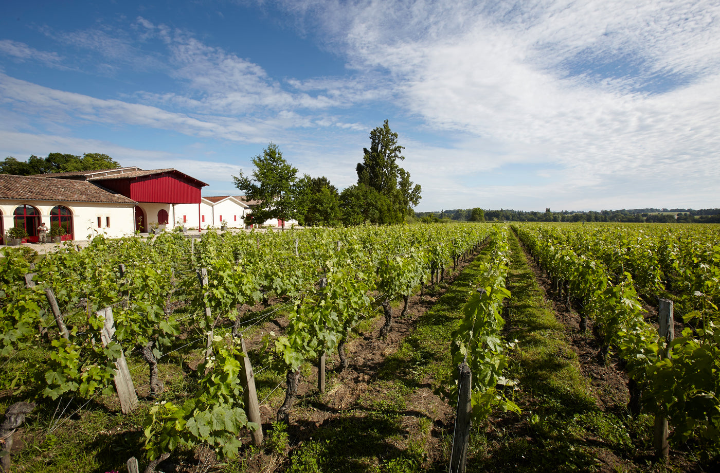 Château Grand Corbin-Despagne