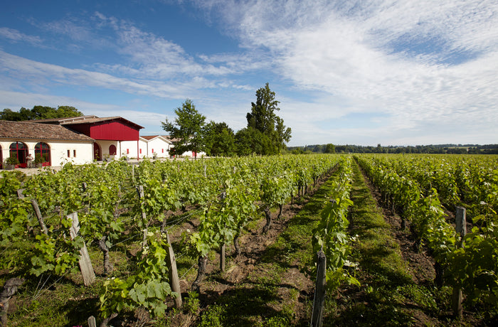 Château Grand Corbin-Despagne