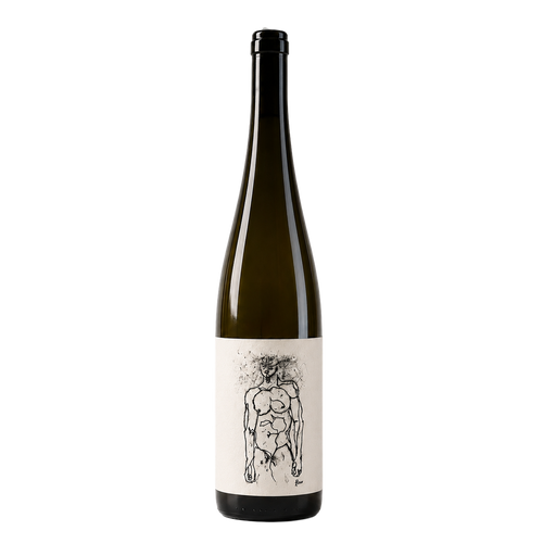 Hofstudien 'Grüner Veltliner' - Weingut Geyerhof 2025