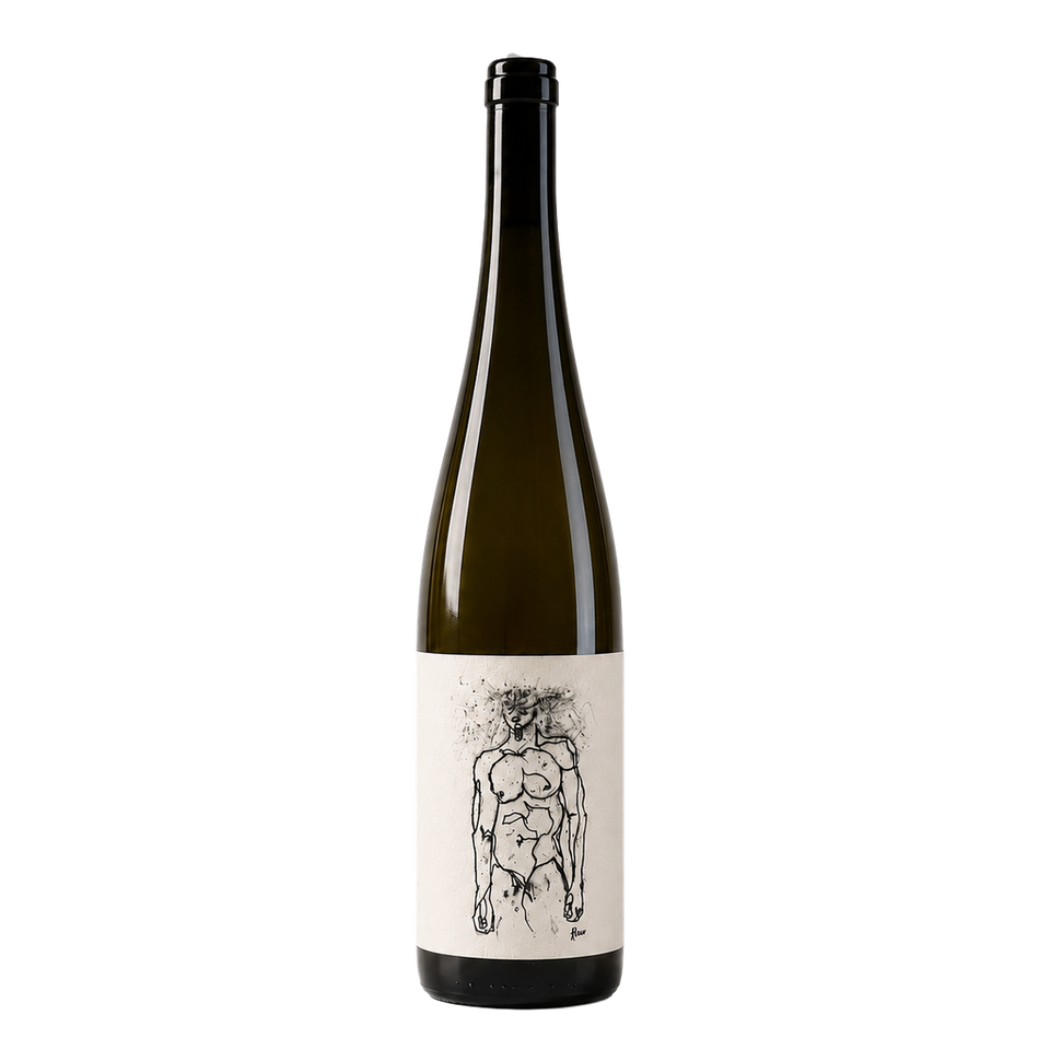 Hofstudien 'Grüner Veltliner' - Weingut Geyerhof 2025