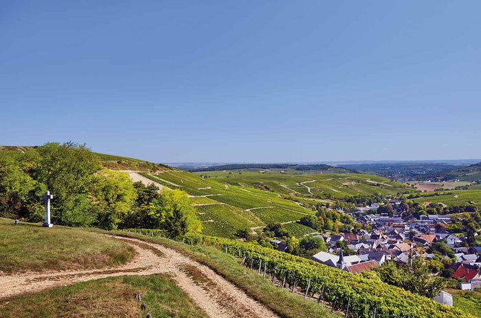 Domaine Pascal Cotat