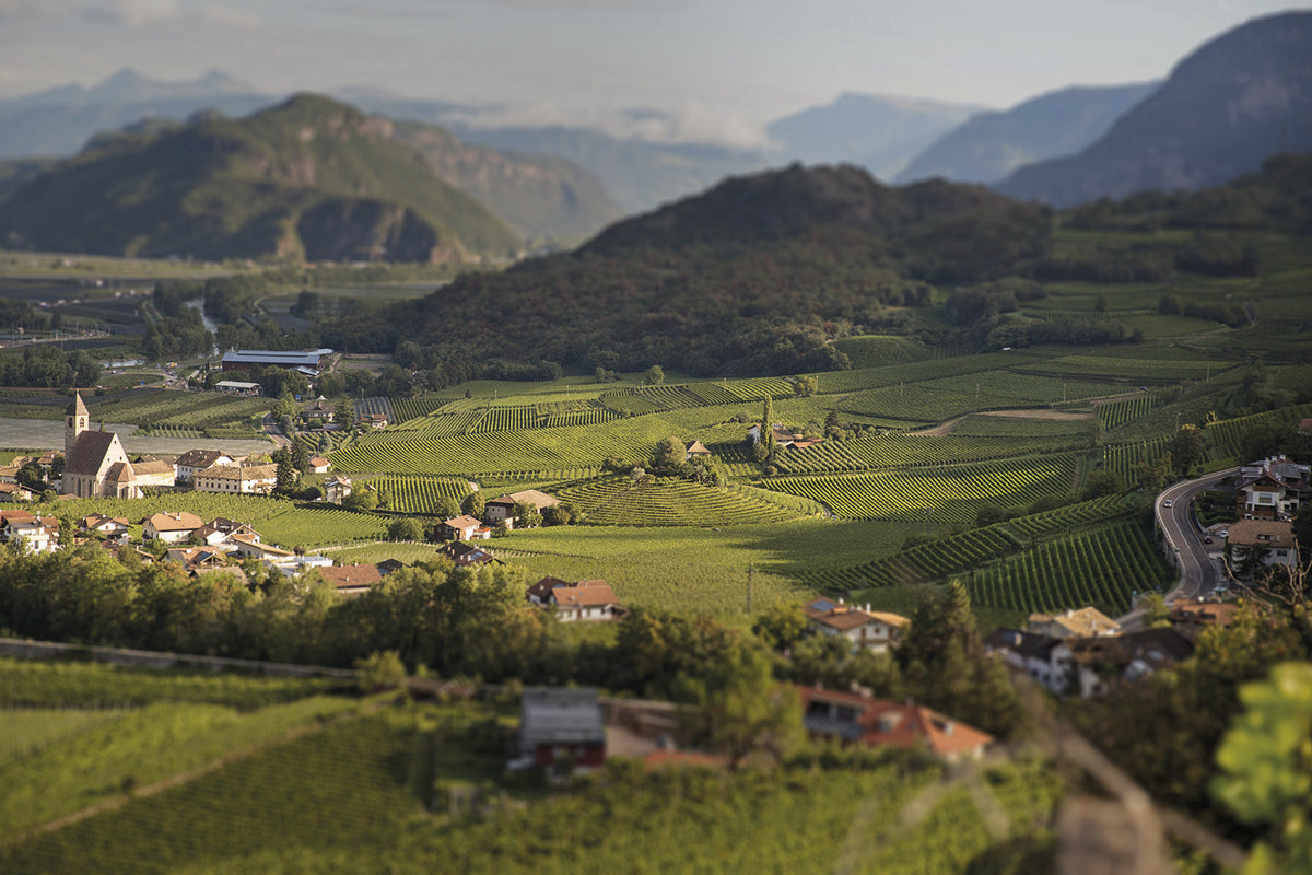 DOLOMIETEN-TERROIR