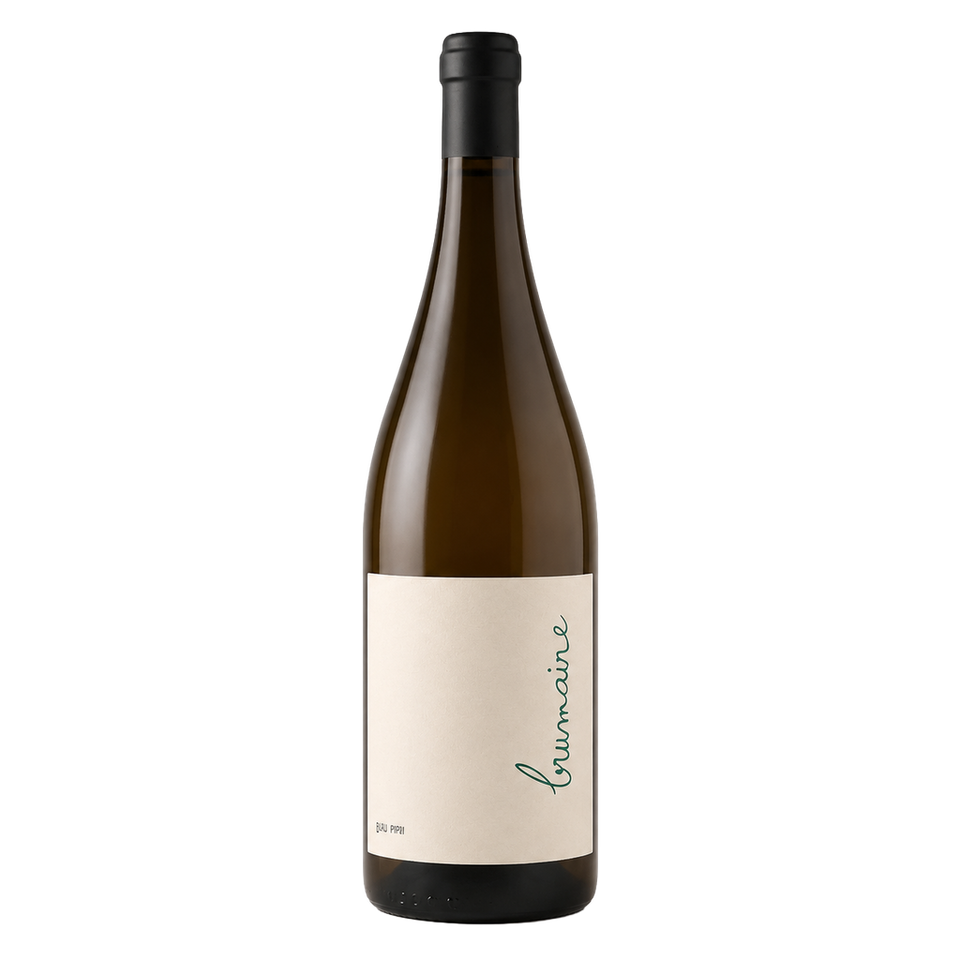 Brumaire - Haus Gupi - Weingut am Schlipf - Schneider 2021