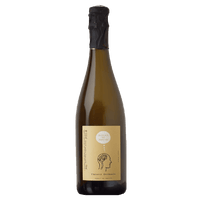 Bulles de Roche - Domaine des Roches Neuves 2022