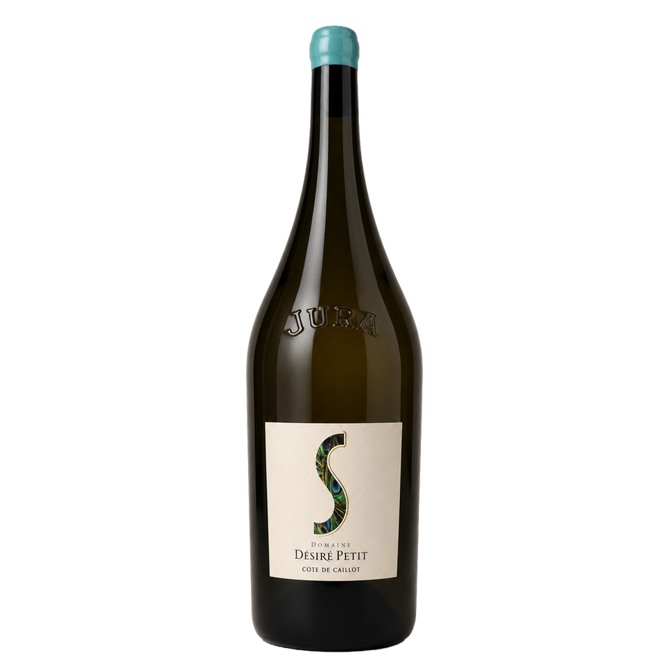 Côte de Caillot - Domaine Désiré Petit 2020 MAGNUM