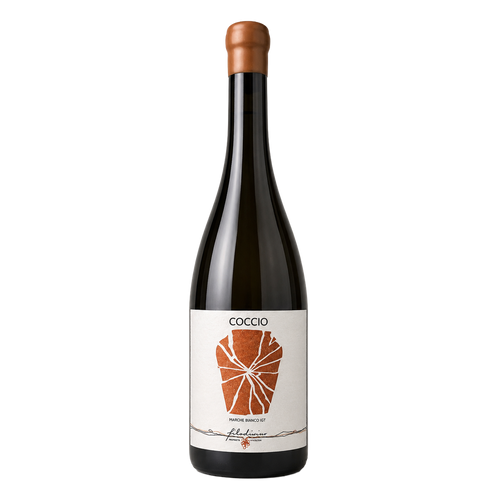 Coccio - Filodivino 2022