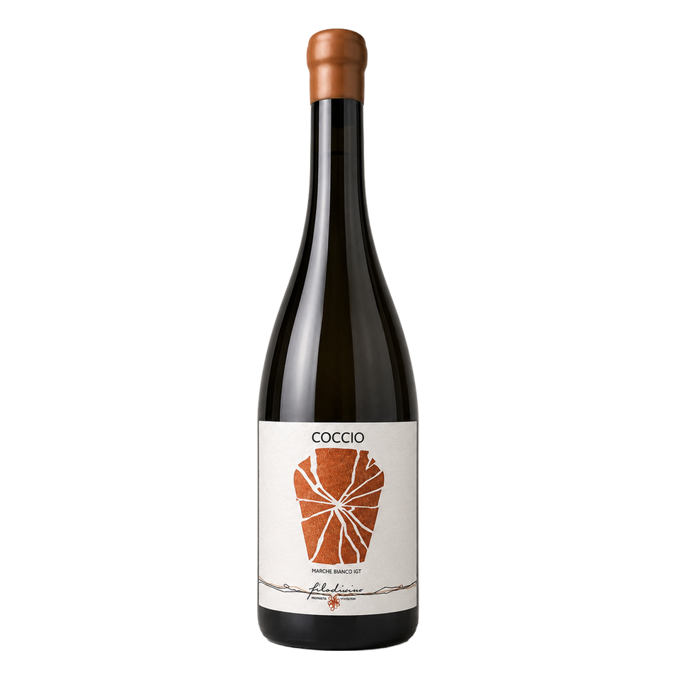 Coccio - Filodivino 2022