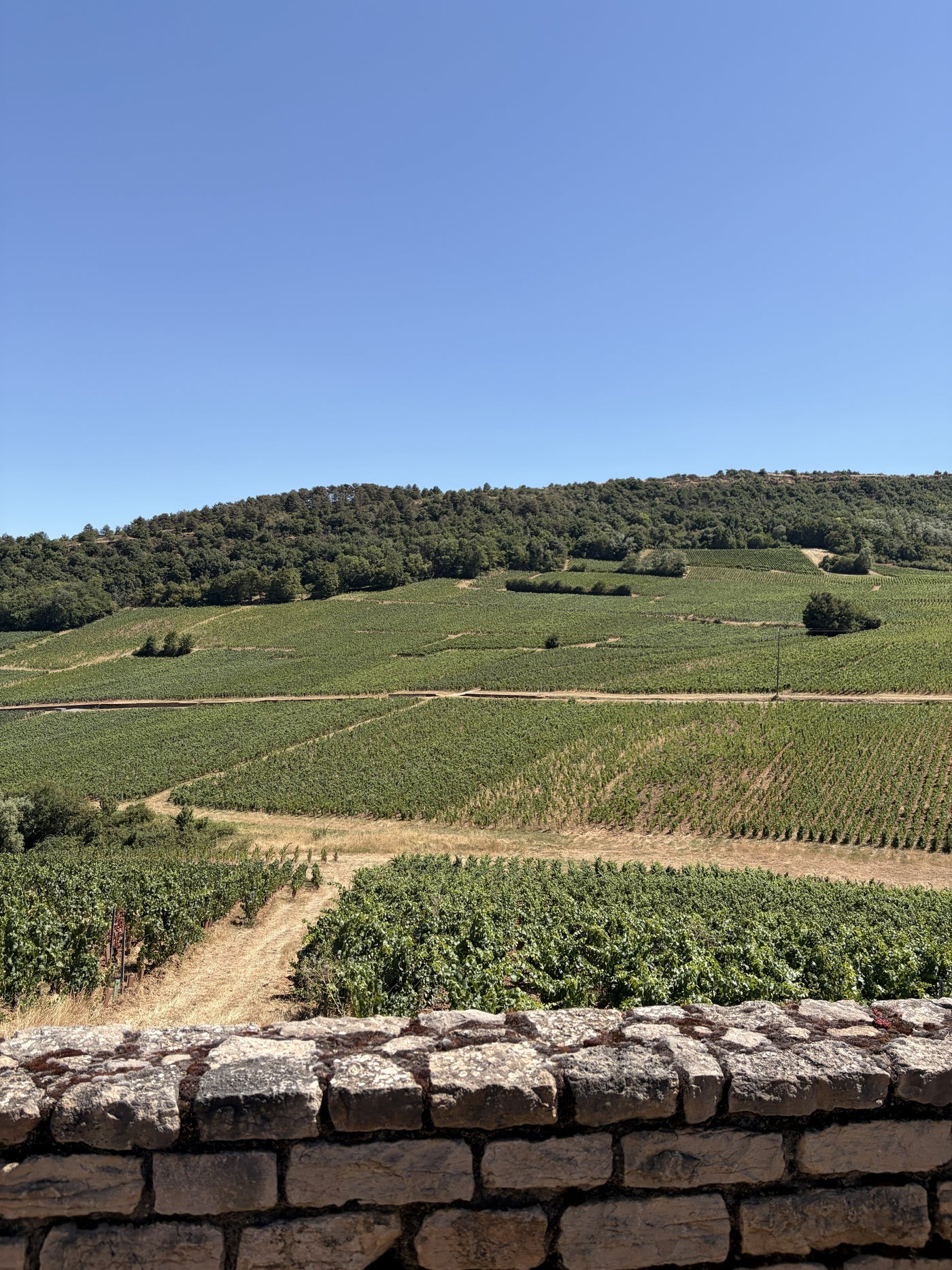 Domaine Jean-Christophe Perraud
