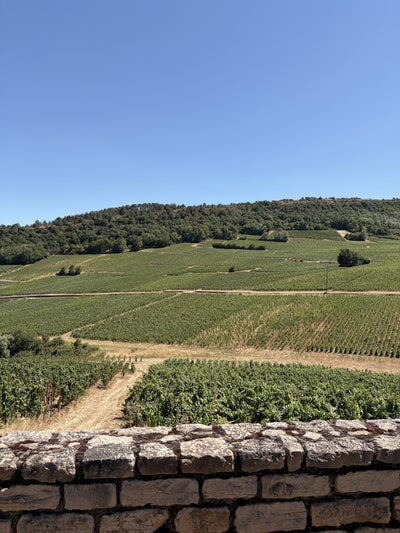 Domaine Jean-Christophe Perraud