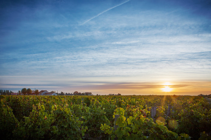 Château La Marzelle