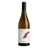 Mala Coste Blanc - Domaine de la Dourbie 2023