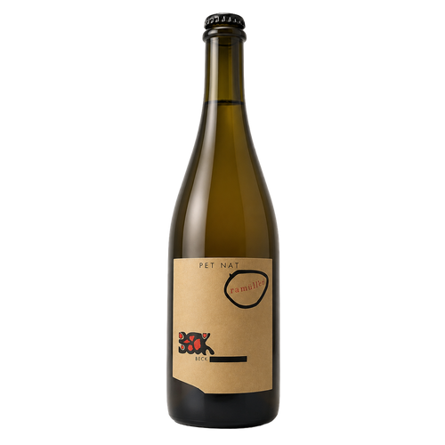 Pet Nat Bambulé P - Weingut Judith Beck 2023