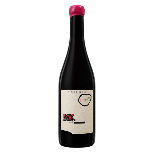 Pinot Noir Bambulé - Weingut Judith Beck 2022