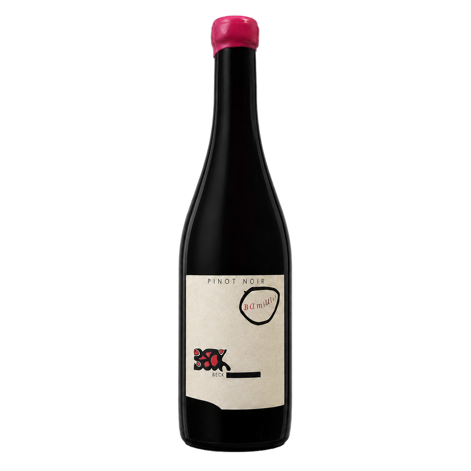 Pinot Noir Bambulé - Weingut Judith Beck 2022