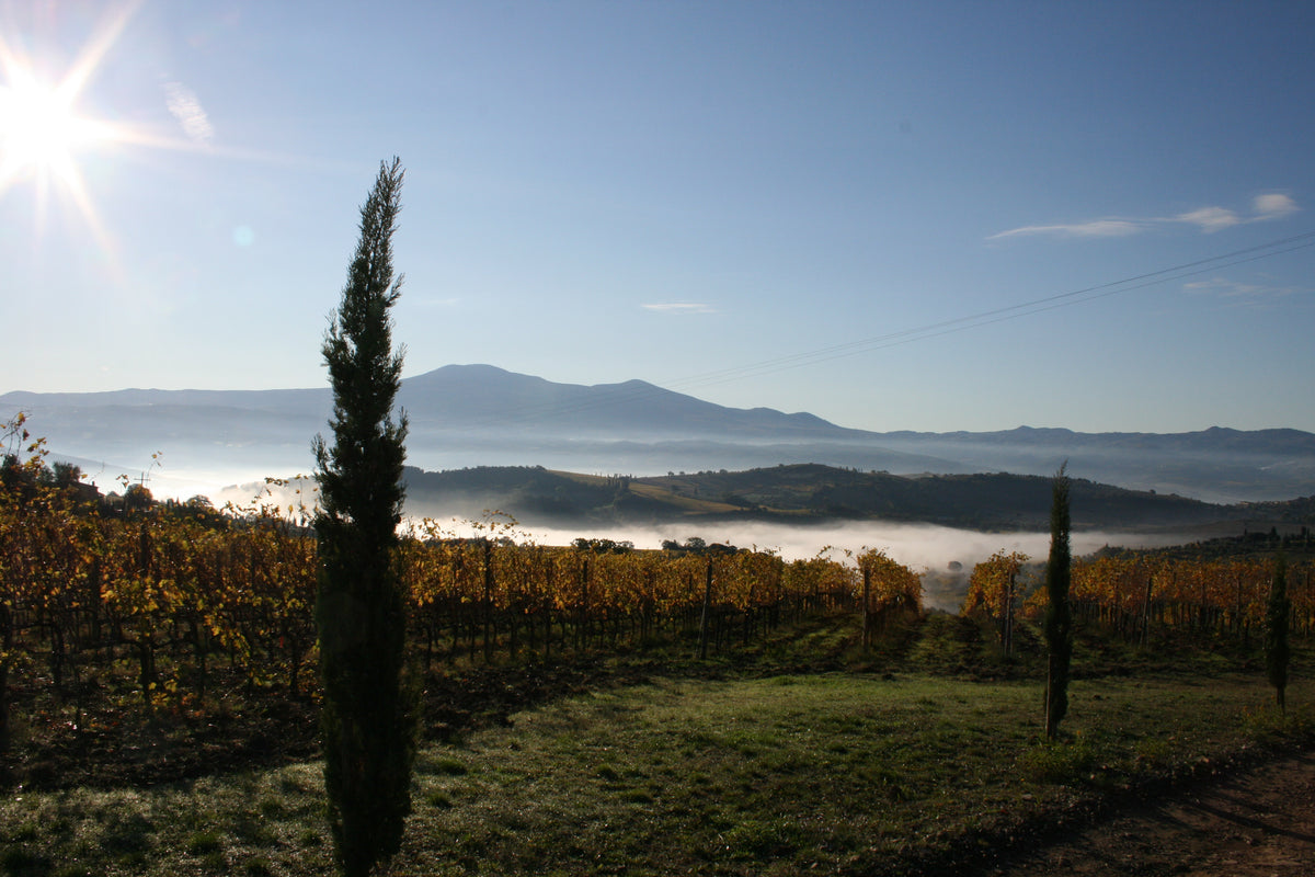 BRUNELLO