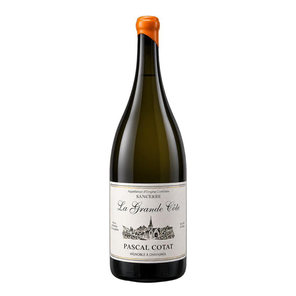 Sancerre Les Monts Damnés - Bernard Fleuriet et Fils 2022 Magnum