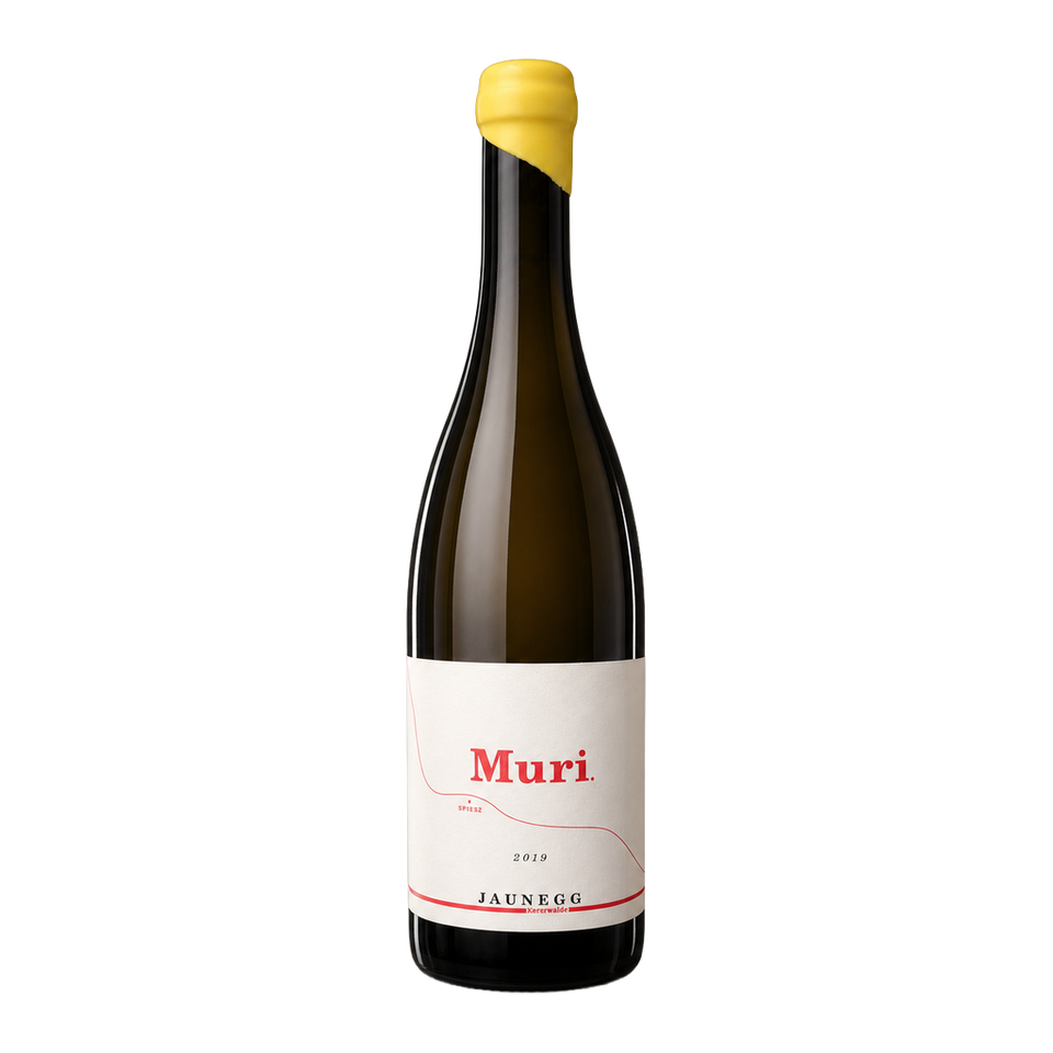 Sauvignon Blanc 'Spiesz' - Weingut Jaunegg 2019