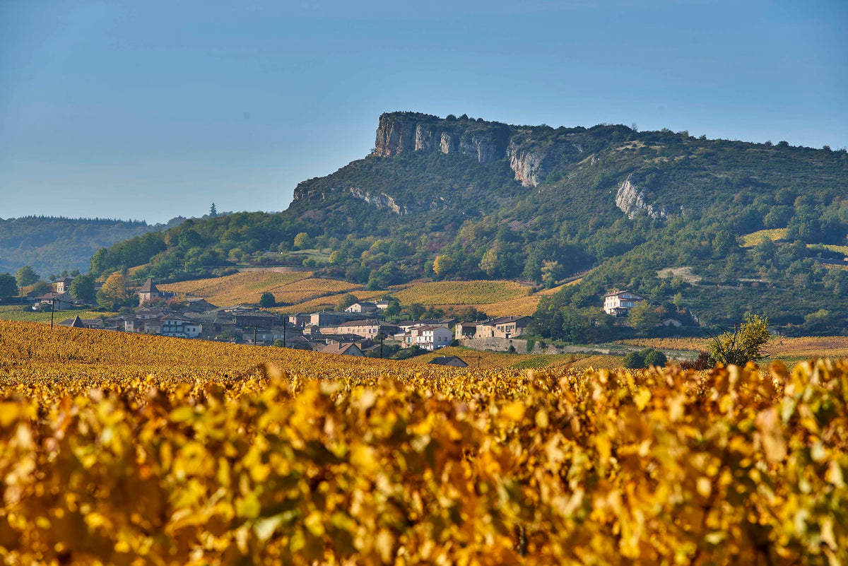 ROCHE DE SOLUTRÉ