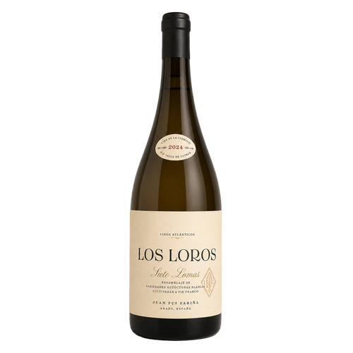Siete Lomas - Los Loros 2024
