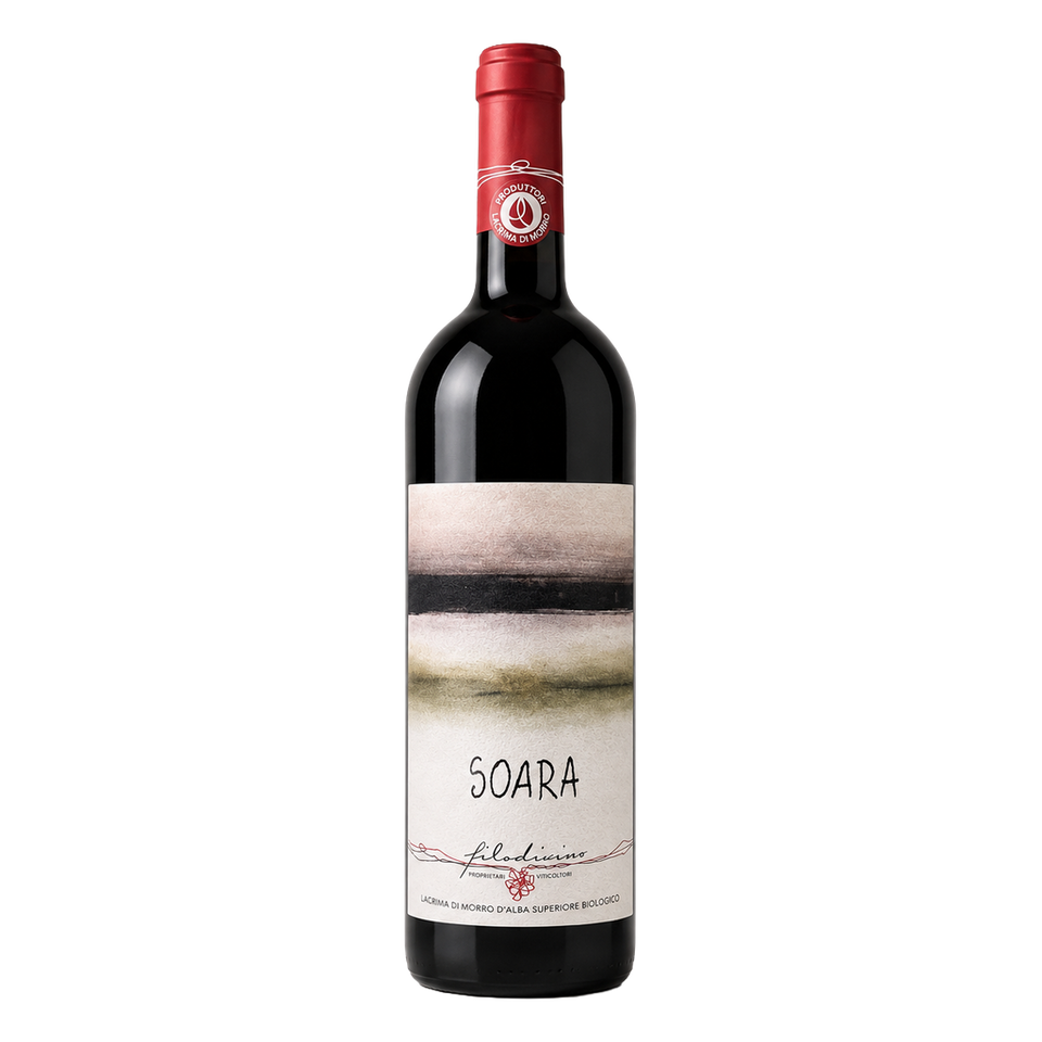 Soara - Filodivino 2022