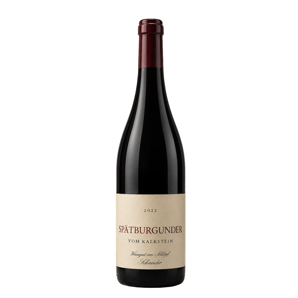 Spätburgunder 'Vom Kalkstein' - Weingut am Schlipf - Schneider 2022
