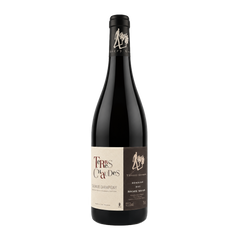 Terres Chaudes - Domaine des Roches Neuves 2022