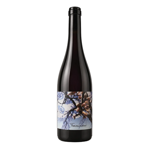 Traminer - Judith Beck 2025