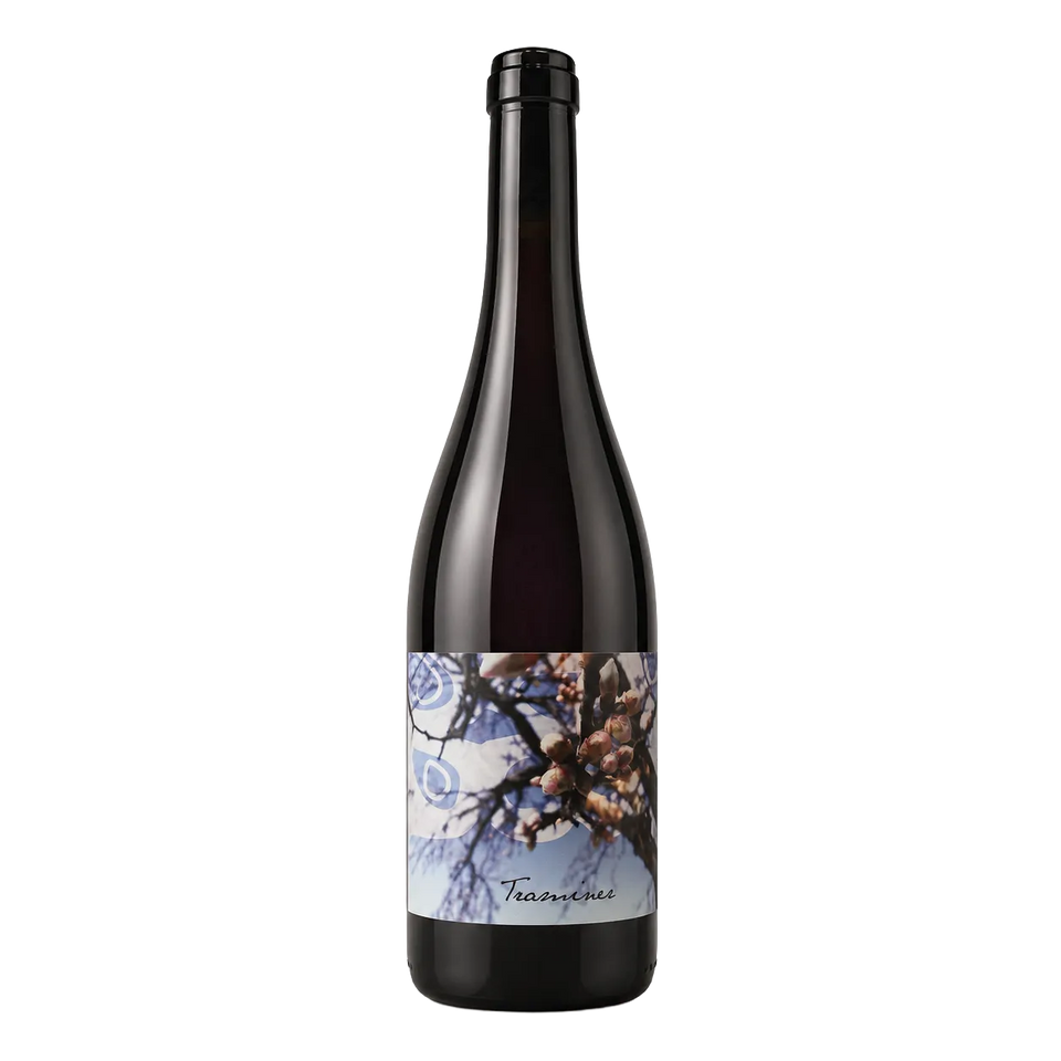 Traminer - Judith Beck 2025