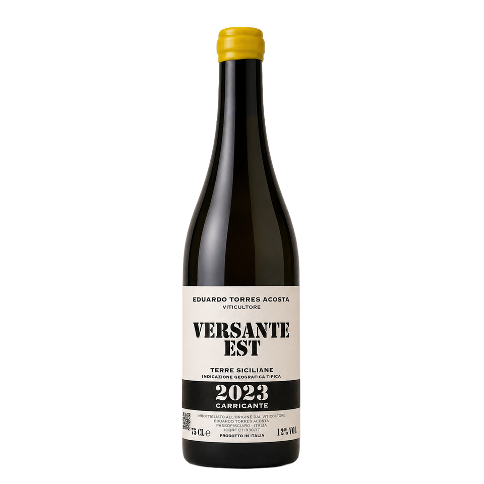 Versante Est - Eduardo Torres Acosta 2023