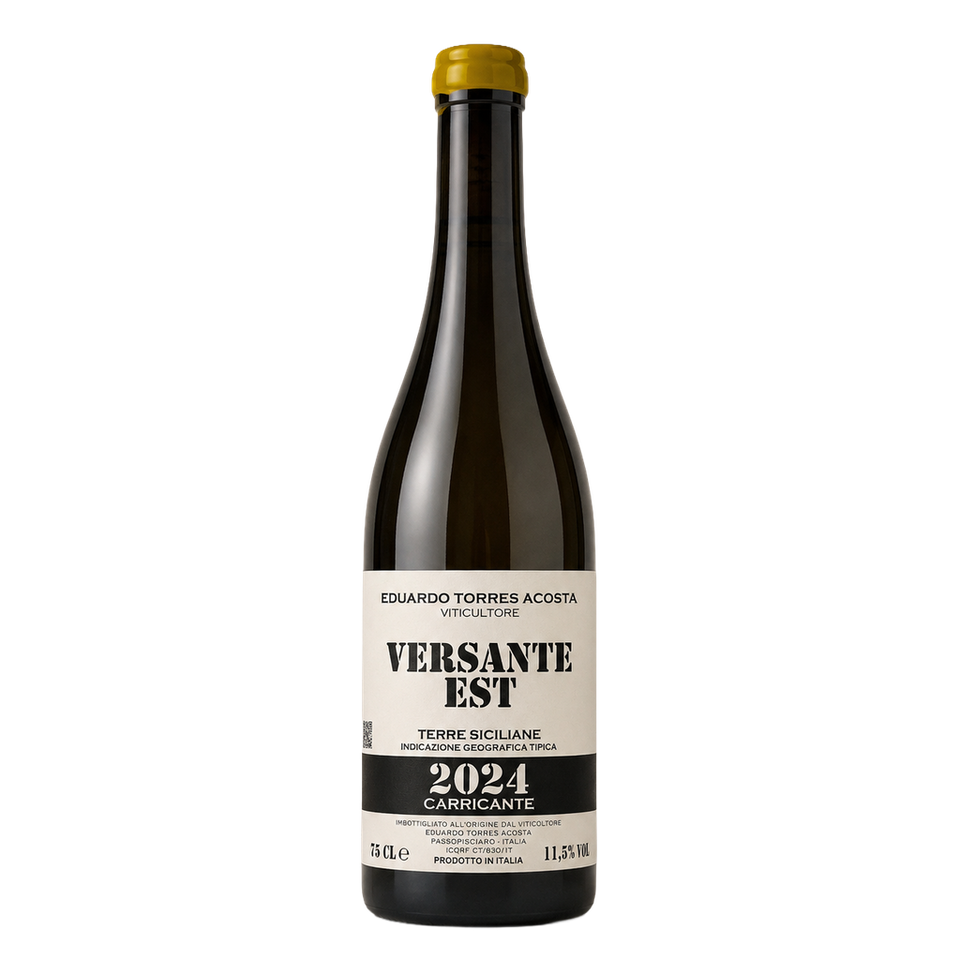Versante Est - Eduardo Torres Acosta 2024