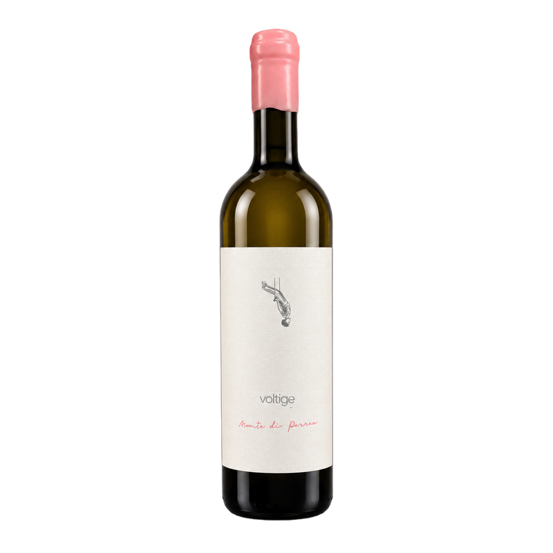 Voltige - Incrocio Bruni 54 - Marche Bianco 2022