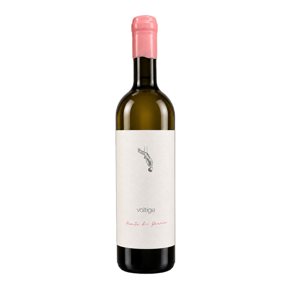 Voltige - Incrocio Bruni 54 - Marche Bianco 2022