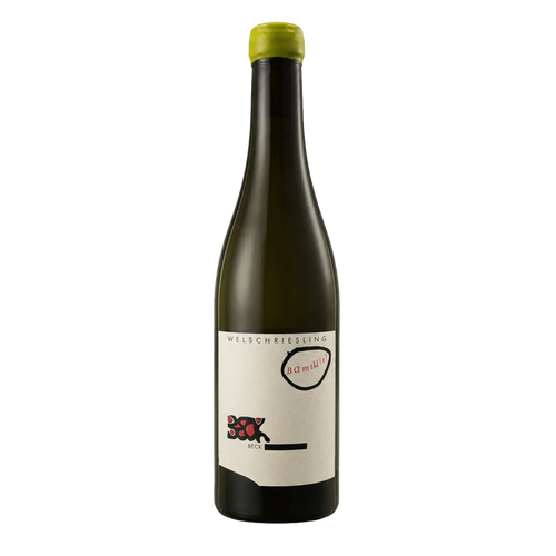 Welschriesling Bambulé - Weingut Judith Beck 2022