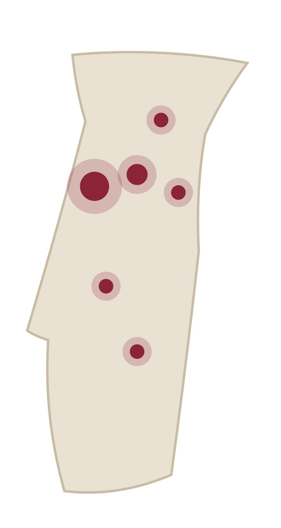 Baga