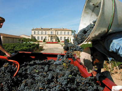 Château Branaire-Ducru