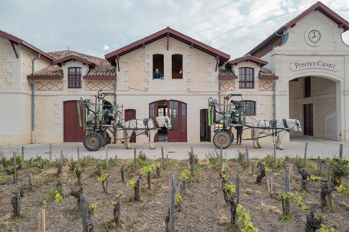 BIODYNAMISCHE PIONIER