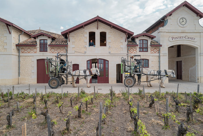 Château Pontet-Canet