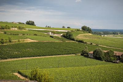 Château Les Roches Blanches