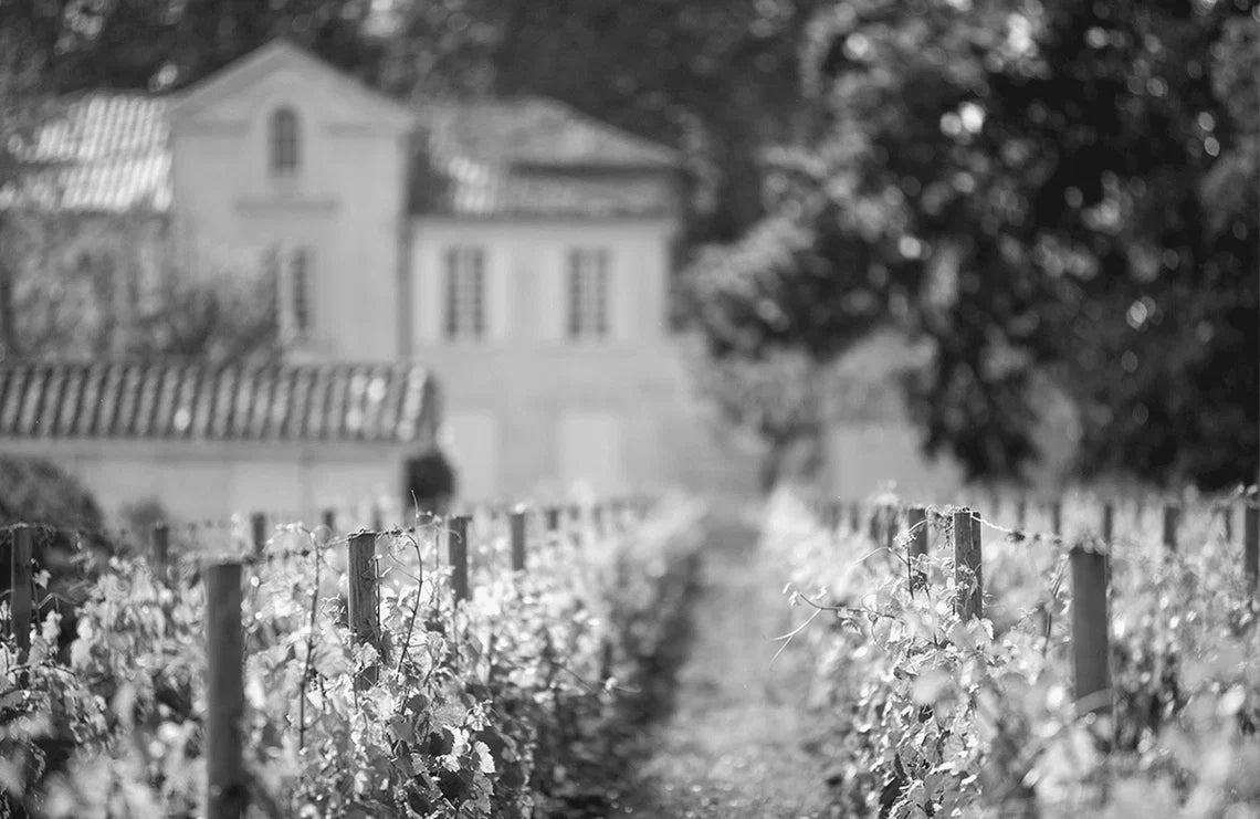 LAPPENDEKEN VAN TERROIRS