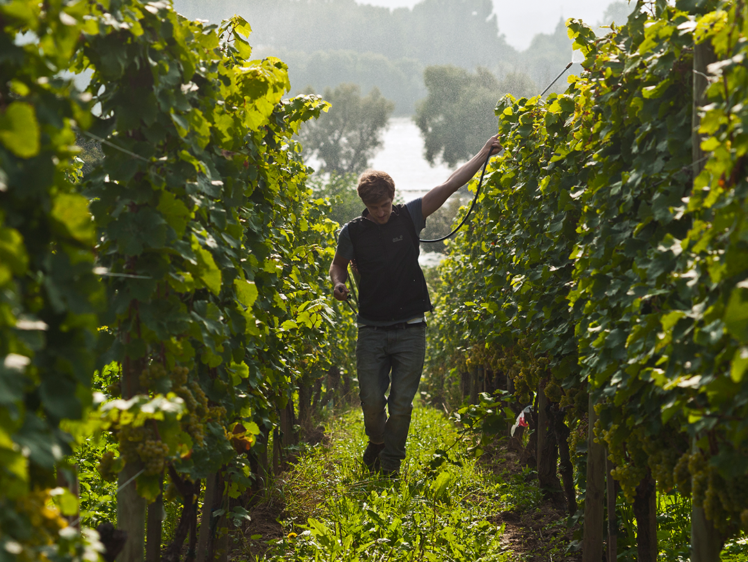 BIODYNAMISCHE HARMONIE