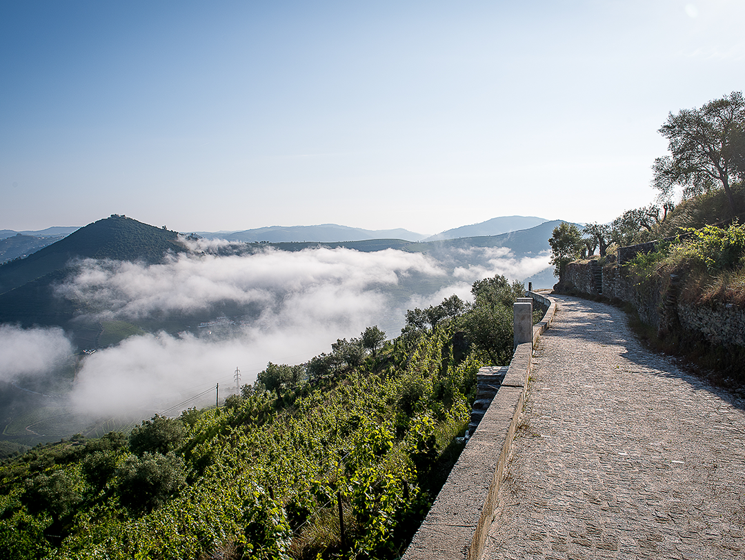 DOURO TERROIR