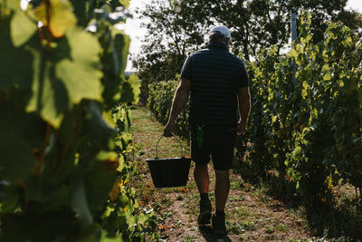 Domaine Mont des Anges