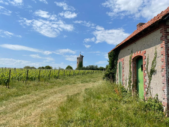Les Vignes du Fresche
