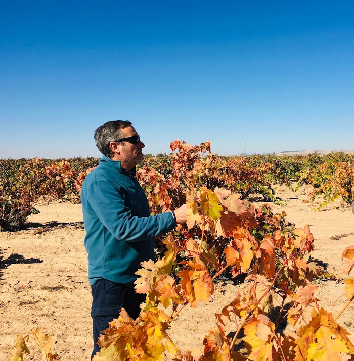 Bodegas San Roman