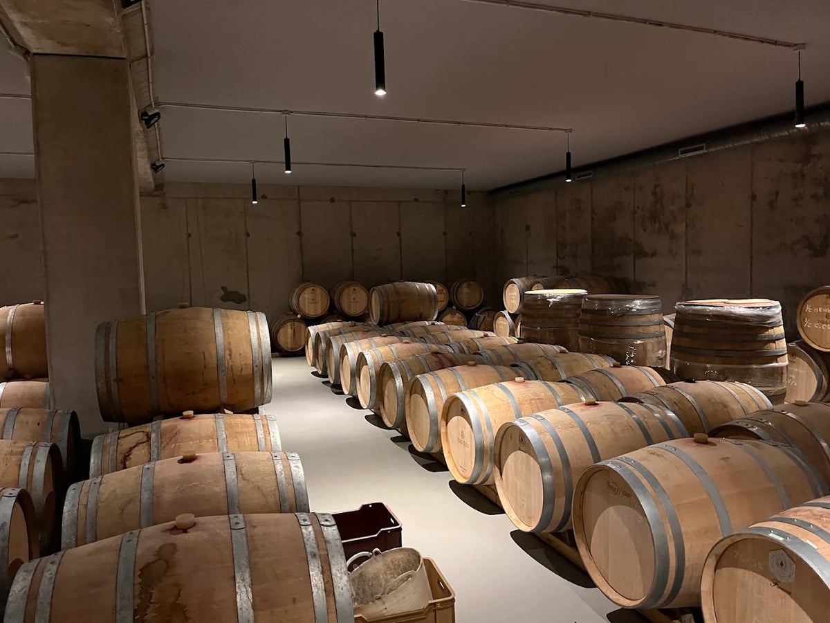 DE KOELE KANT VAN PRIORAT