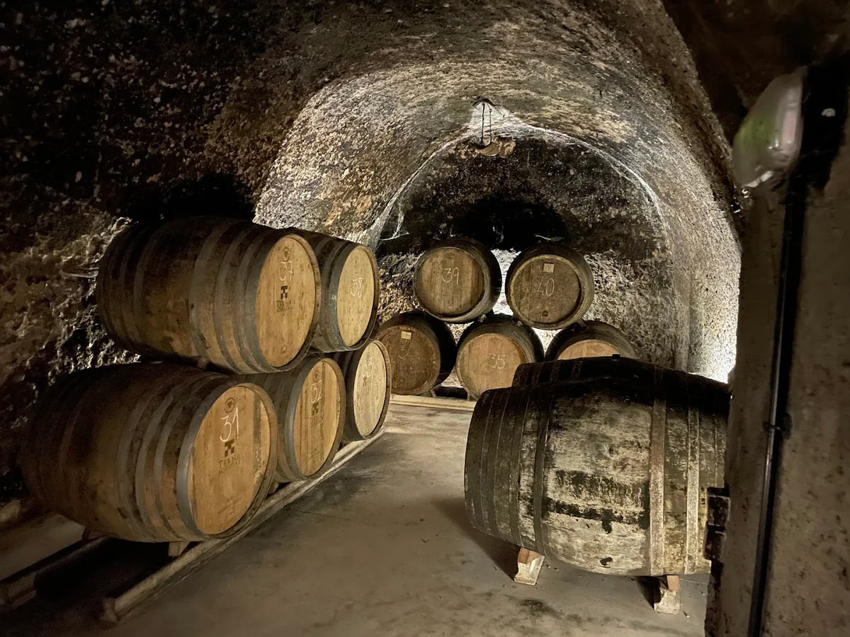 VERDEJO