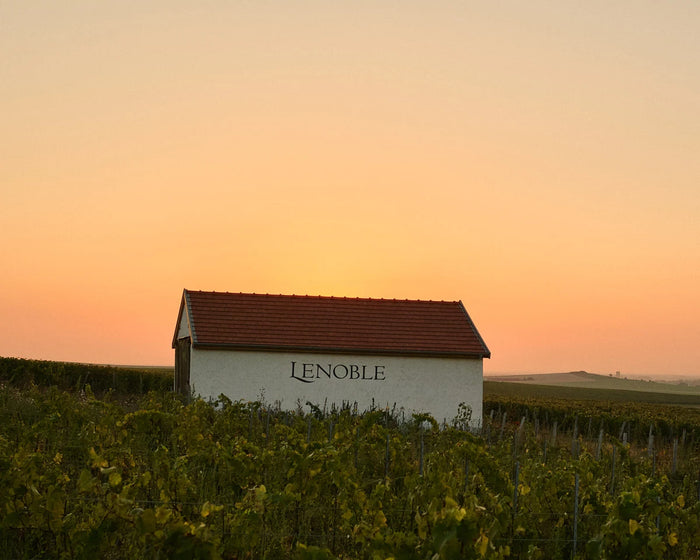 Champage Lenoble
